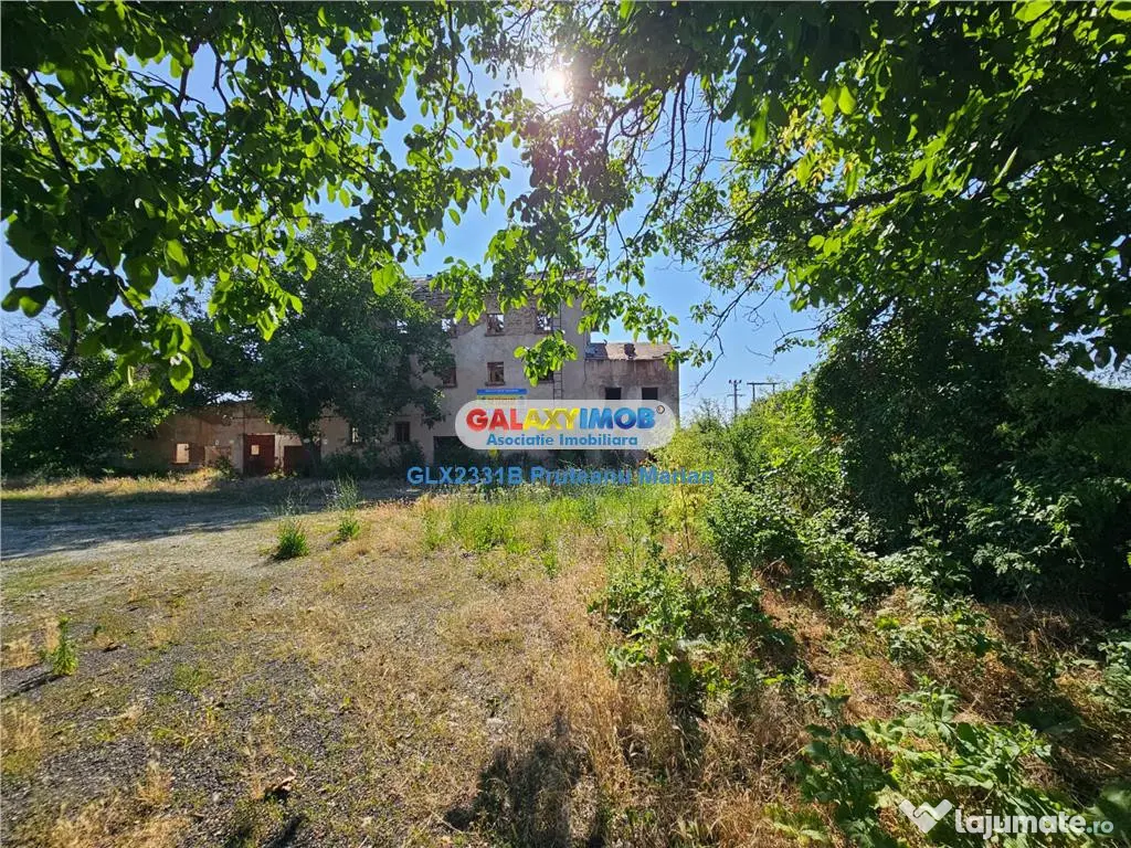 Moara cu spatii Industriale situate in comuna Daia jud Giur