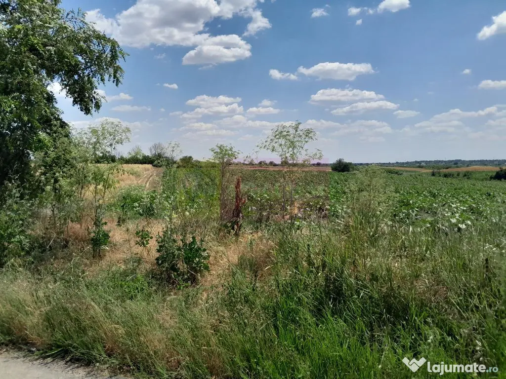 TEISORI /GR - 2 LOTURI LIPITE (TOT. 16500 MP) DE VZ 100K ... 