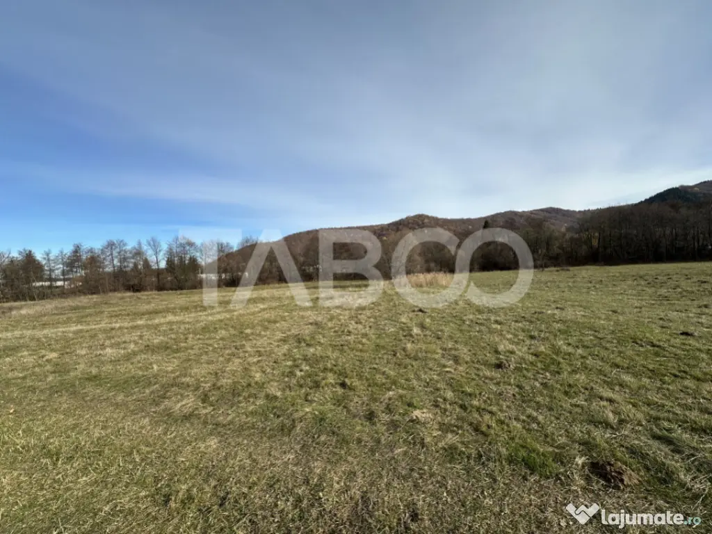 COMISION 0% Teren extravilan 1630 mp langa Rau pe Valea Sebe 