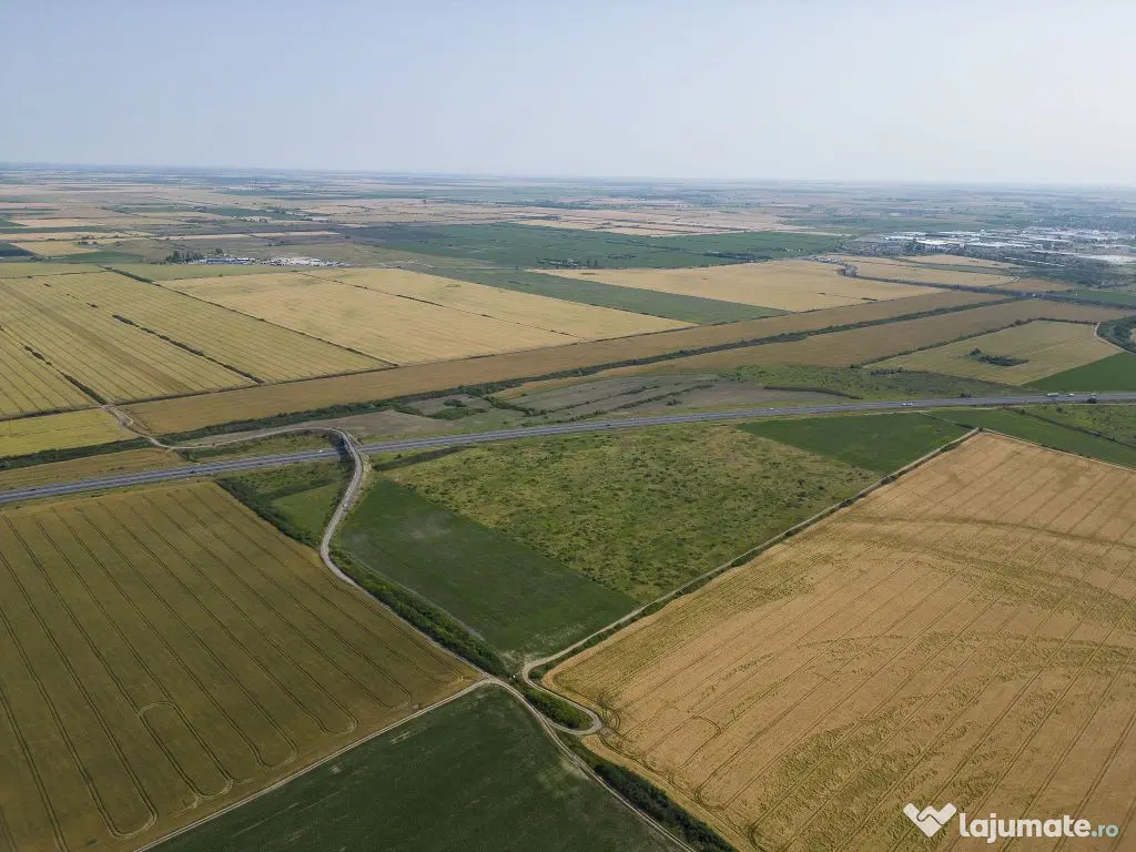 Teren 12 ha la Autostrada A1 cu PUZ aprobat 