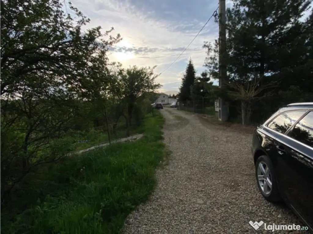 RECO Teren intravilan in Saldabagiu de Munte 985mp