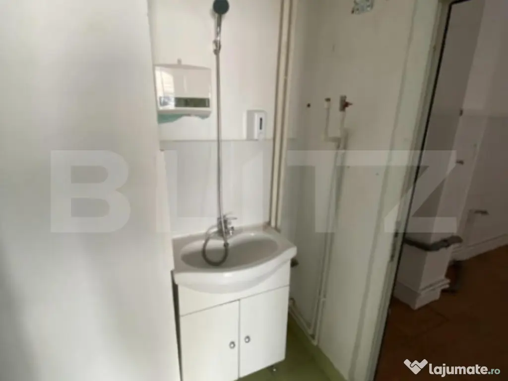 Spatiu comercial de inchiriat, 20 mp, Bulevardul Mihai Vitea