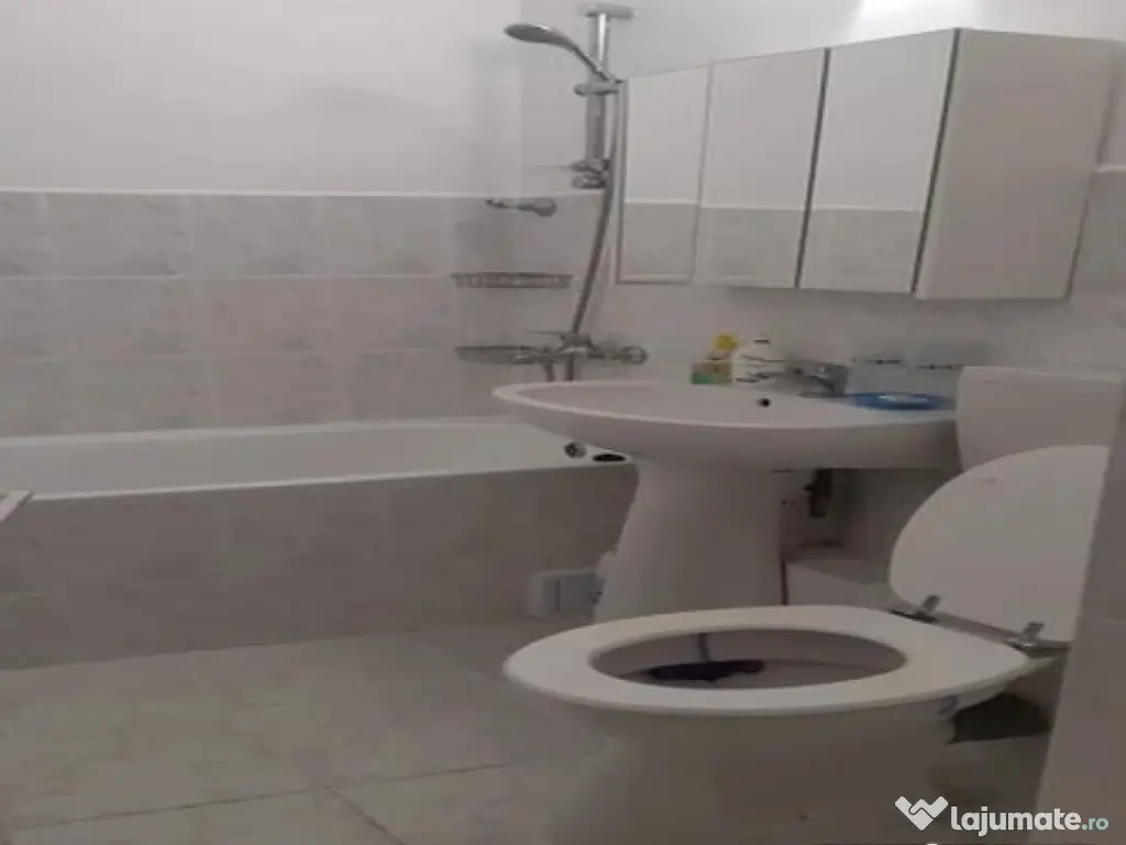 1 camera in zona Badea Cartan