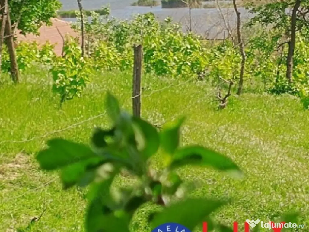 ID 7852 Teren pentru casă - Strada Orizontului