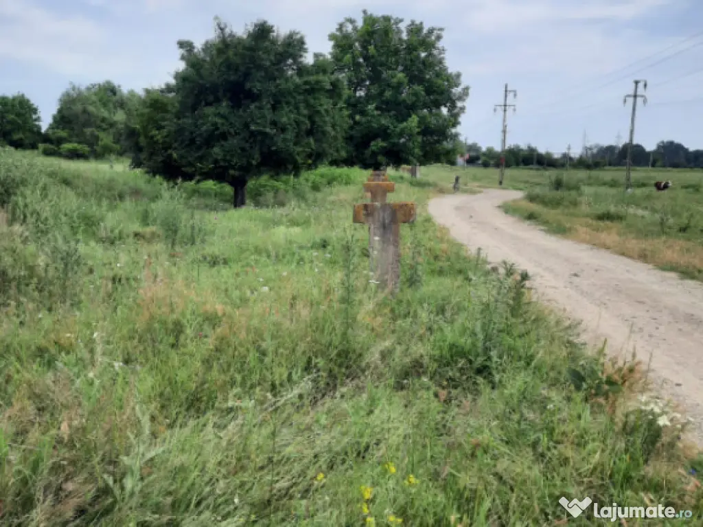 Teren extravilan de vânzare, 4900 mp, Boldești Scaieni 