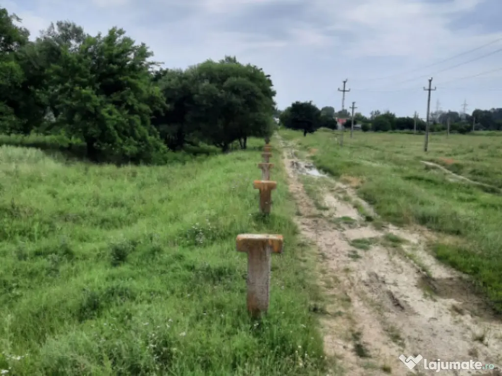 Teren extravilan de vânzare, 4900 mp, Boldești Scaieni 