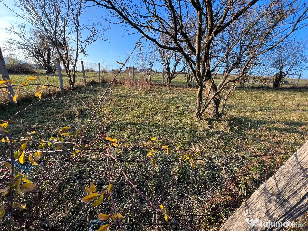 Teren de vânzare – ideal pentru cabană – Rășinari, jud. Sibiu (2000 mp 