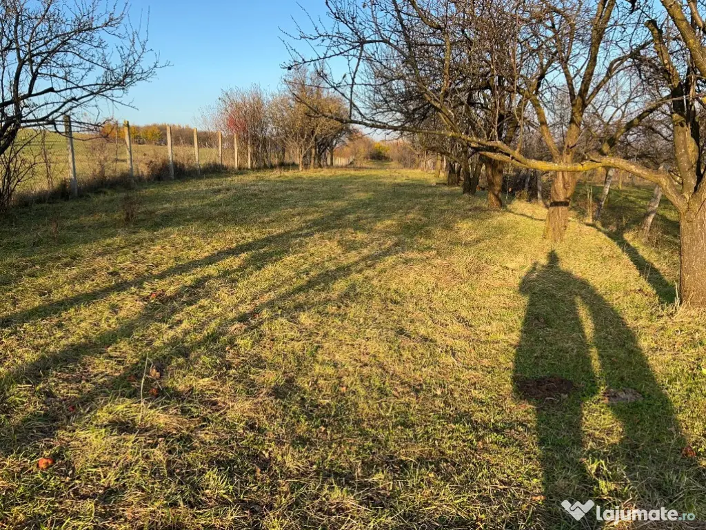 Teren de vânzare – ideal pentru cabană – Rășinari, jud. Sibiu (2000 mp 
