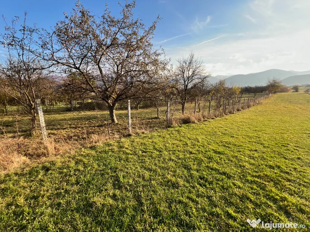 Teren de vânzare – ideal pentru cabană – Rășinari, jud. Sibiu (2000 mp 