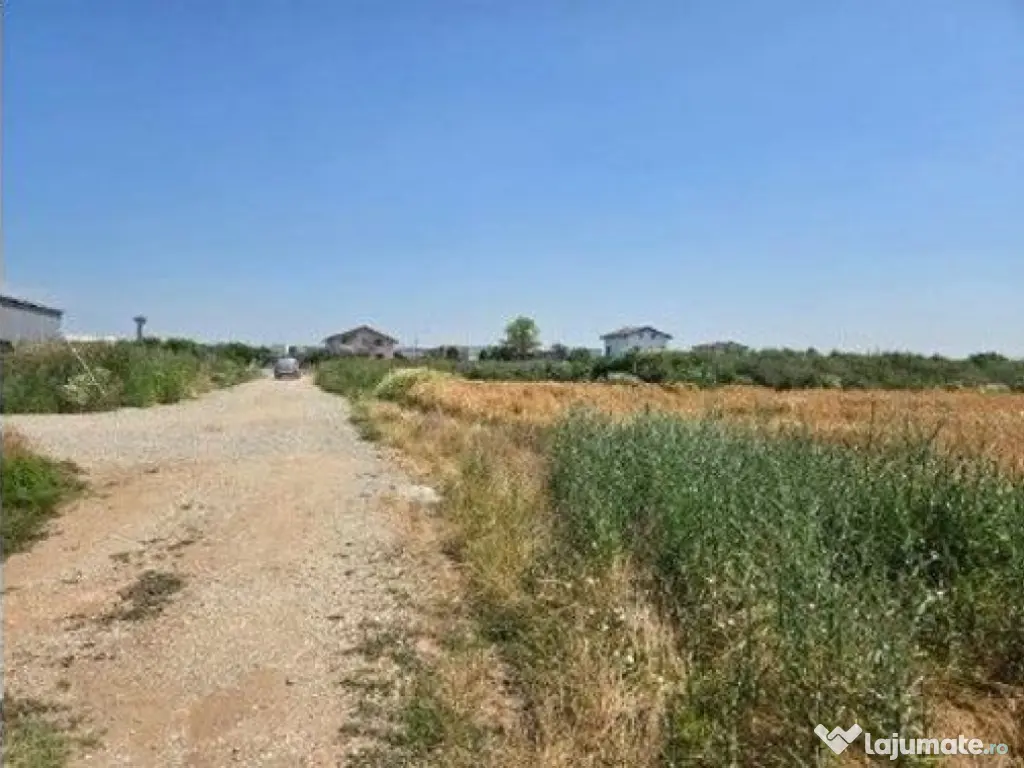 Teren extravilan cota parte 1/2, Magurele, ID: R2641535 