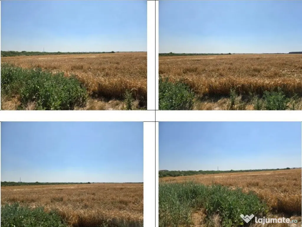 Teren extravilan cota parte 1/2, Magurele, ID: R2641535 