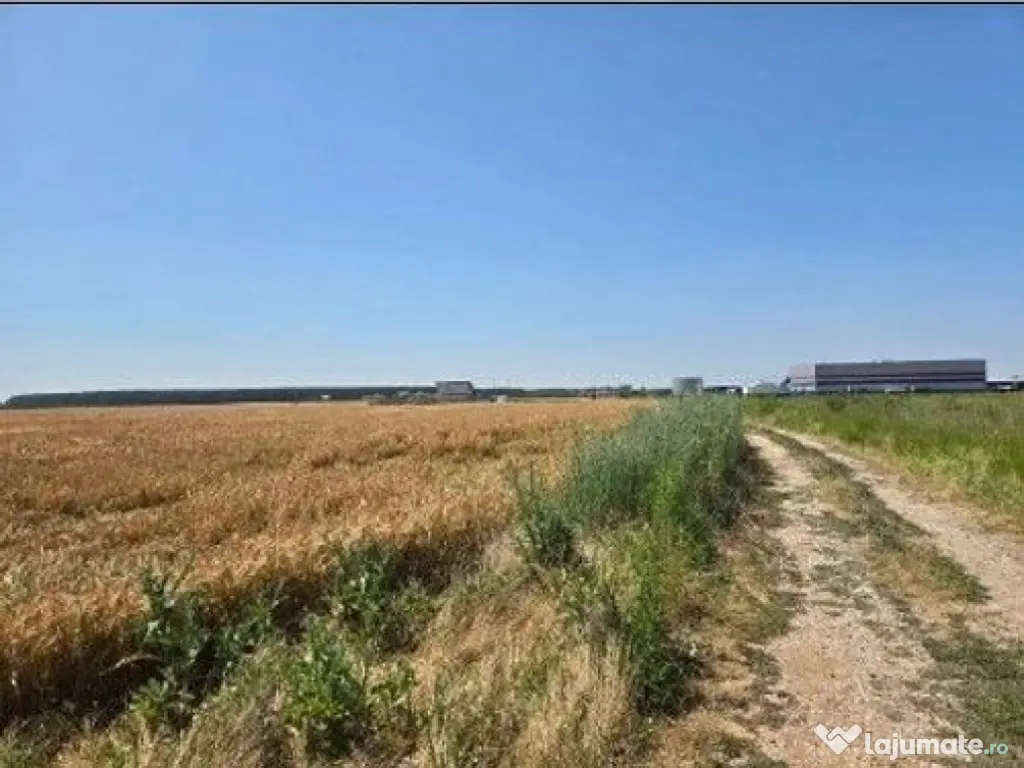 Teren extravilan cota parte 1/2, Magurele, ID: R2641535 