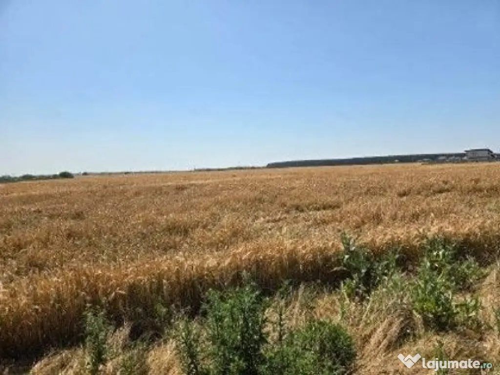 Teren extravilan cota parte 1/2, Magurele, ID: R2641535 