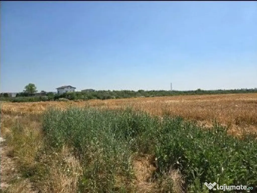 Teren extravilan cota parte 1/2, Magurele, ID: R2641535 