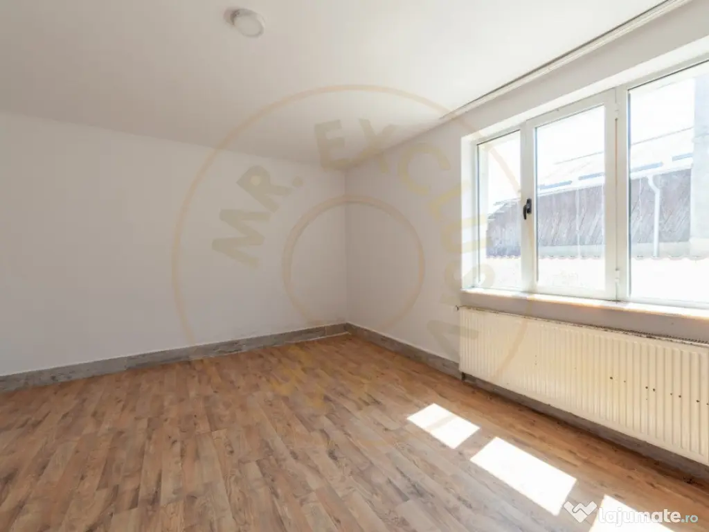 Casa cu 9 camere, pretabila business - Stefanesti, Drumul Mo 