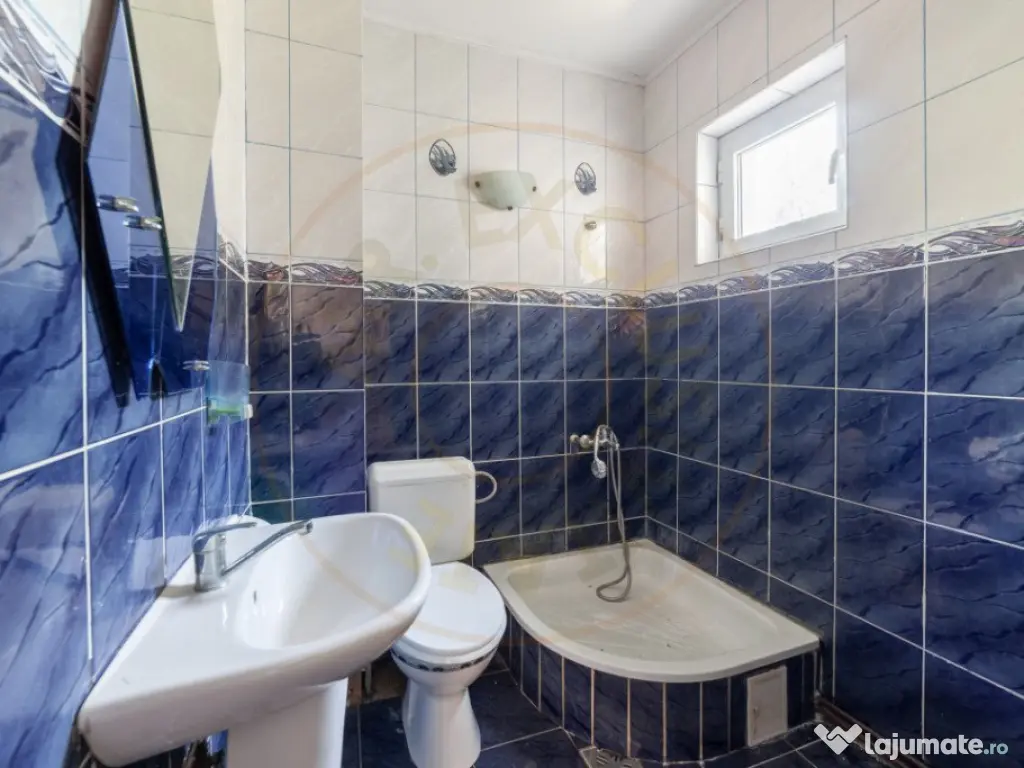 Casa cu 9 camere, pretabila business - Stefanesti, Drumul Mo 