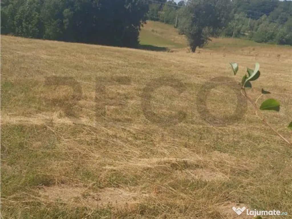 RECO, Teren intravilan, zona Sinteu, 2 Km de Huta Slavia