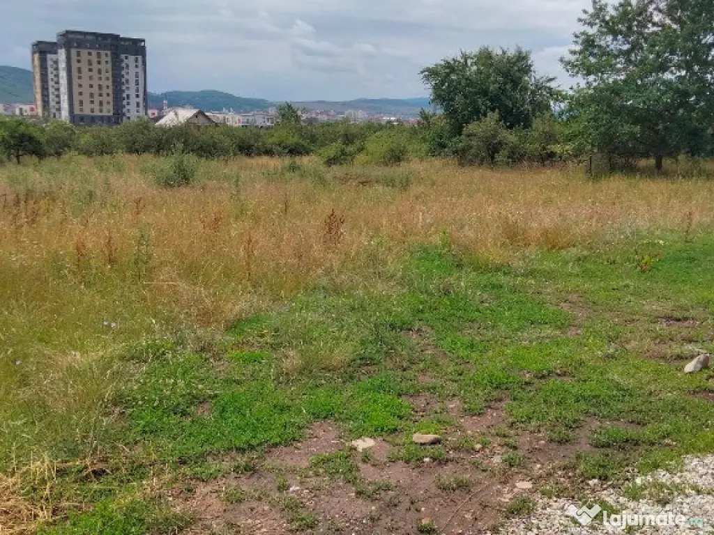 Teren intravilan Dr. D. Vechi , 1000 mp