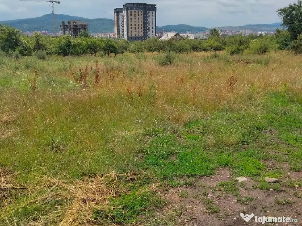 Teren intravilan Dr. D. Vechi , 1000 mp