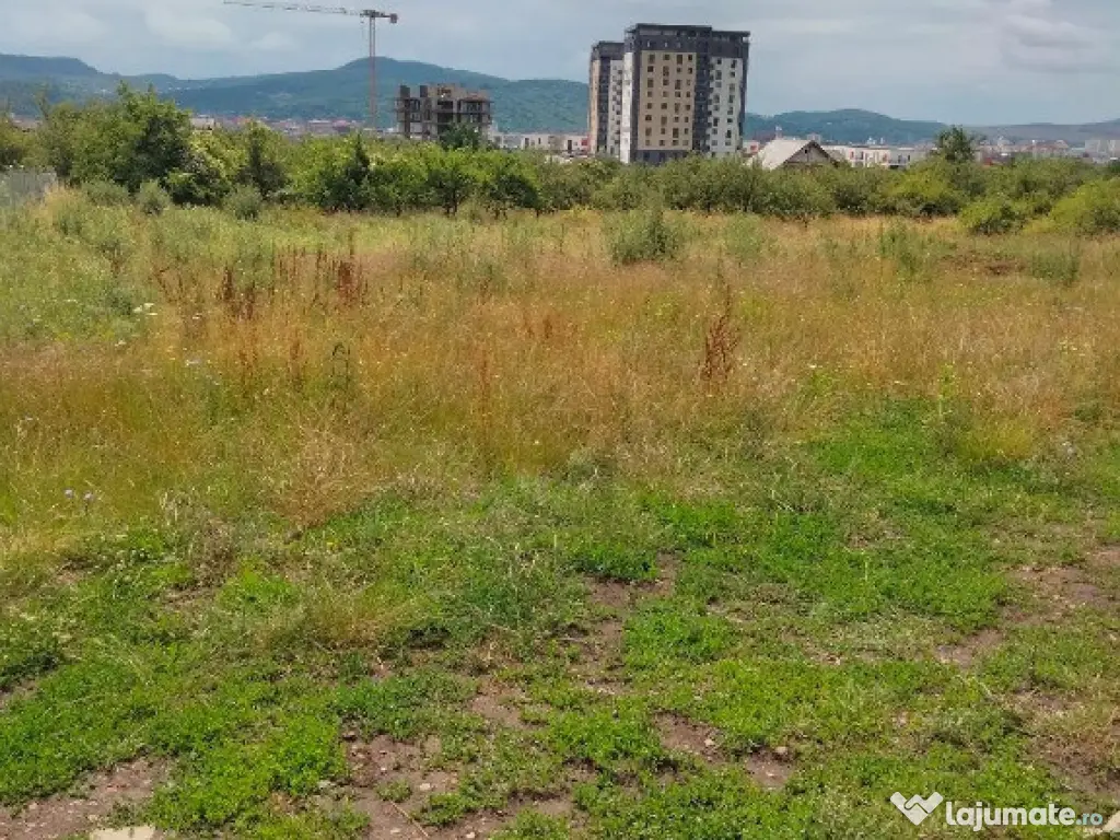 Teren intravilan Dr. D. Vechi , 1000 mp