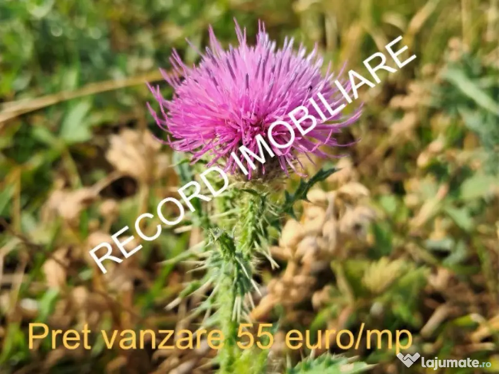 Teren intravilan 1095 mp, zona Molitura Apahida 