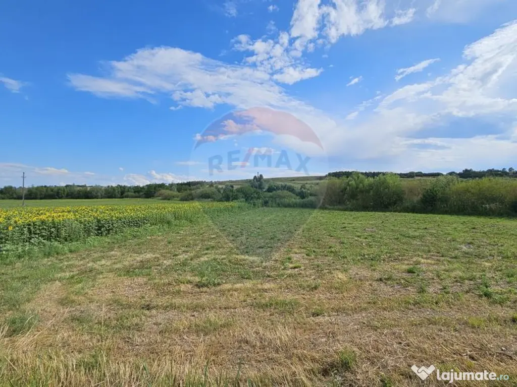 Teren extravilan 12000 mp- Pădureni-Șendriceni, Botoșani 