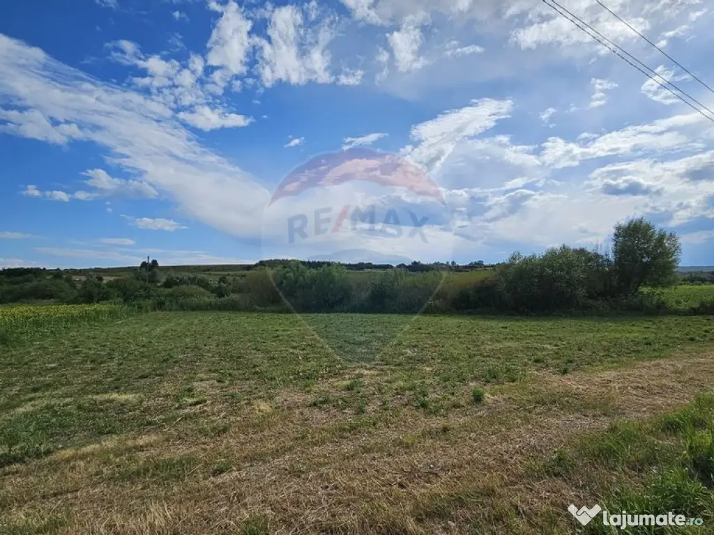 Teren extravilan 12000 mp- Pădureni-Șendriceni, Botoșani 