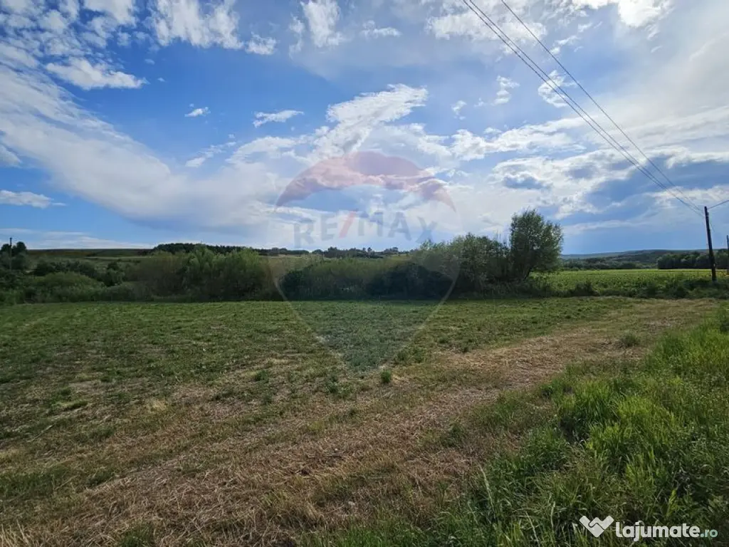 Teren extravilan 12000 mp- Pădureni-Șendriceni, Botoșani 