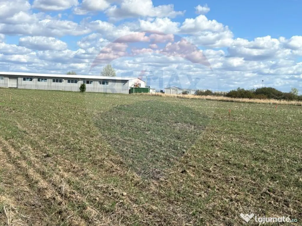 Teren 1 503 mp de vânzare, Nojorid , Soseaua DN79 