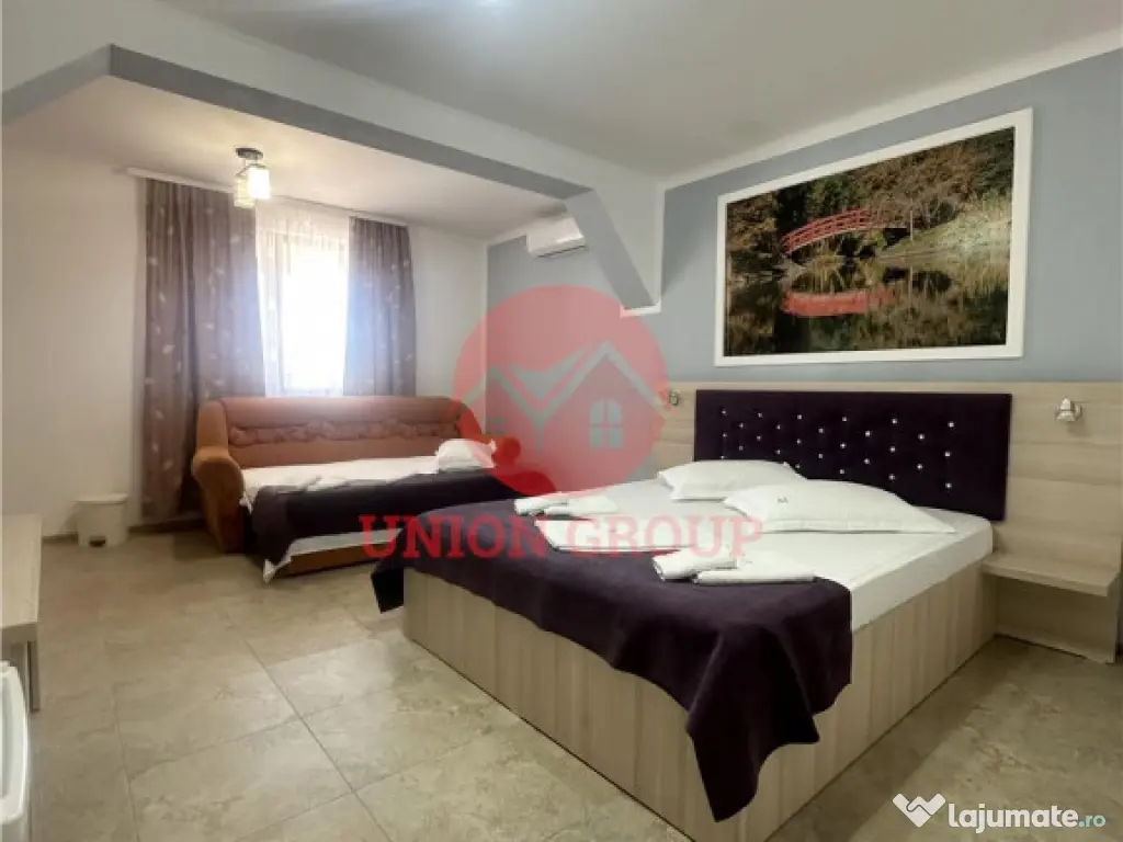 Pensiune Moderna si Profitabila in Vama Veche - Business la