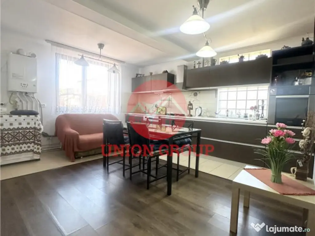 Pensiune Moderna si Profitabila in Vama Veche - Business la