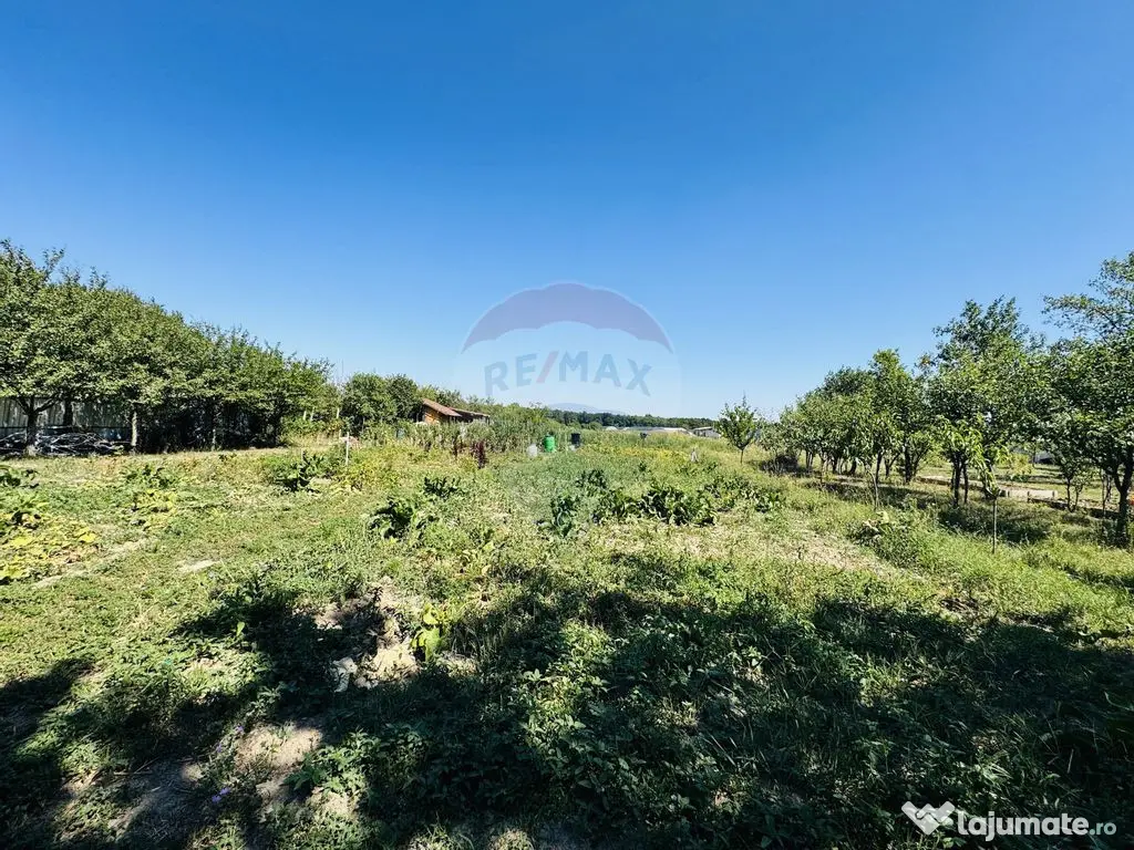 Teren 6,210mp Apateu / Strada Principala 