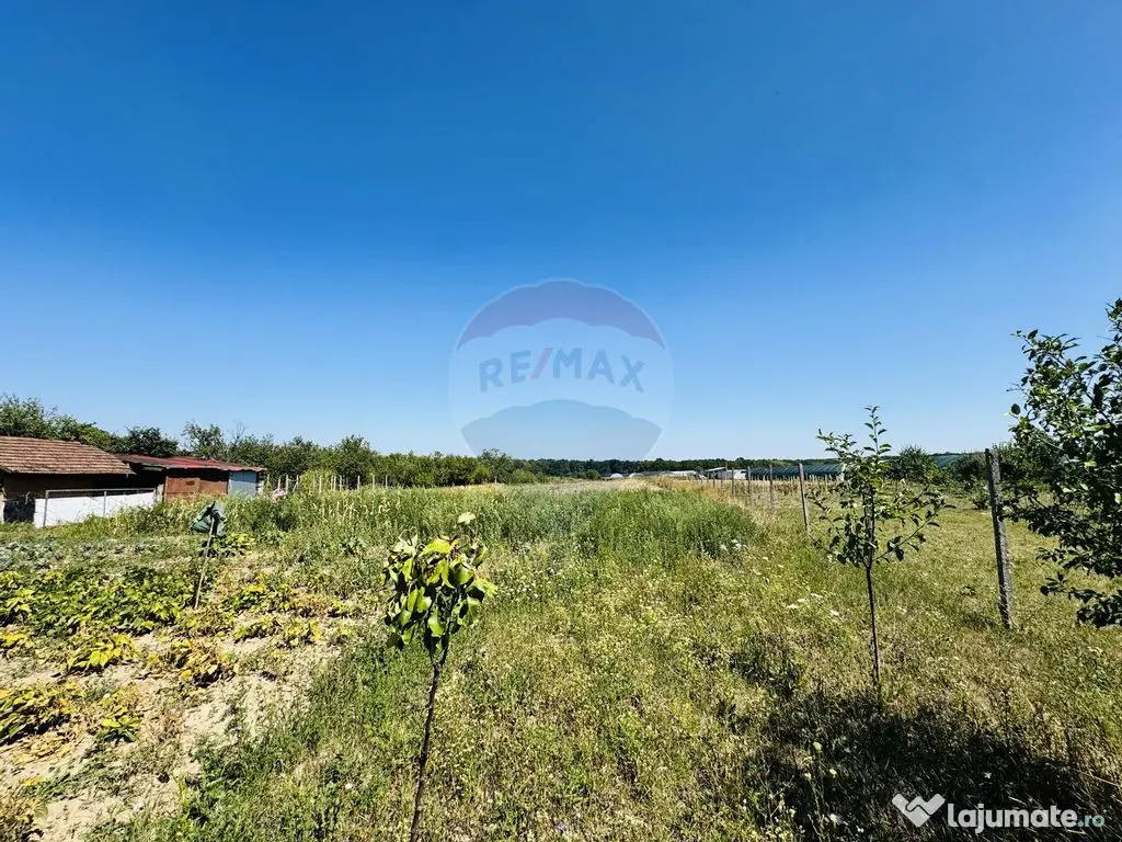 Teren 6,210mp Apateu / Strada Principala 