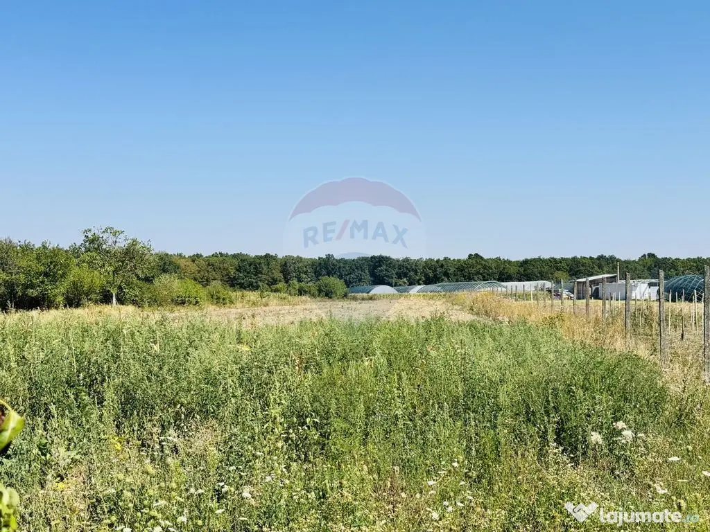 Teren 6,210mp Apateu / Strada Principala 