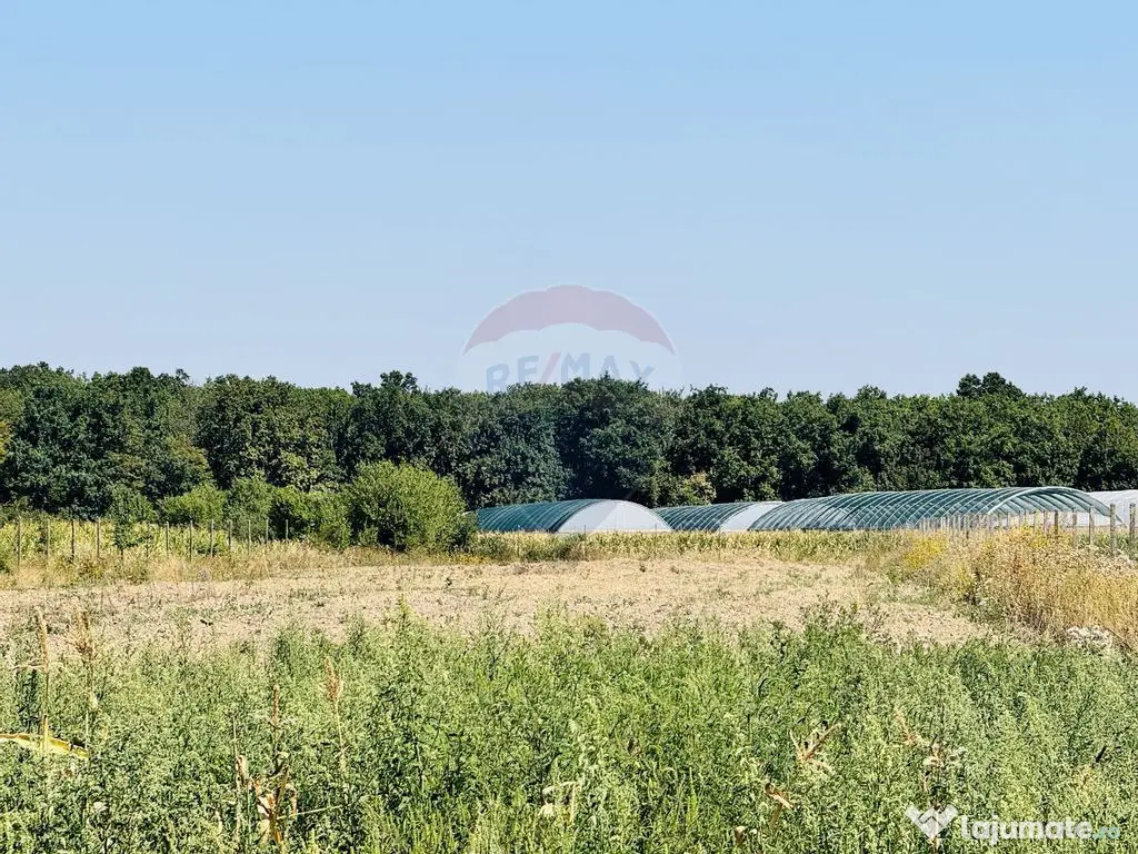 Teren 6,210mp Apateu / Strada Principala 