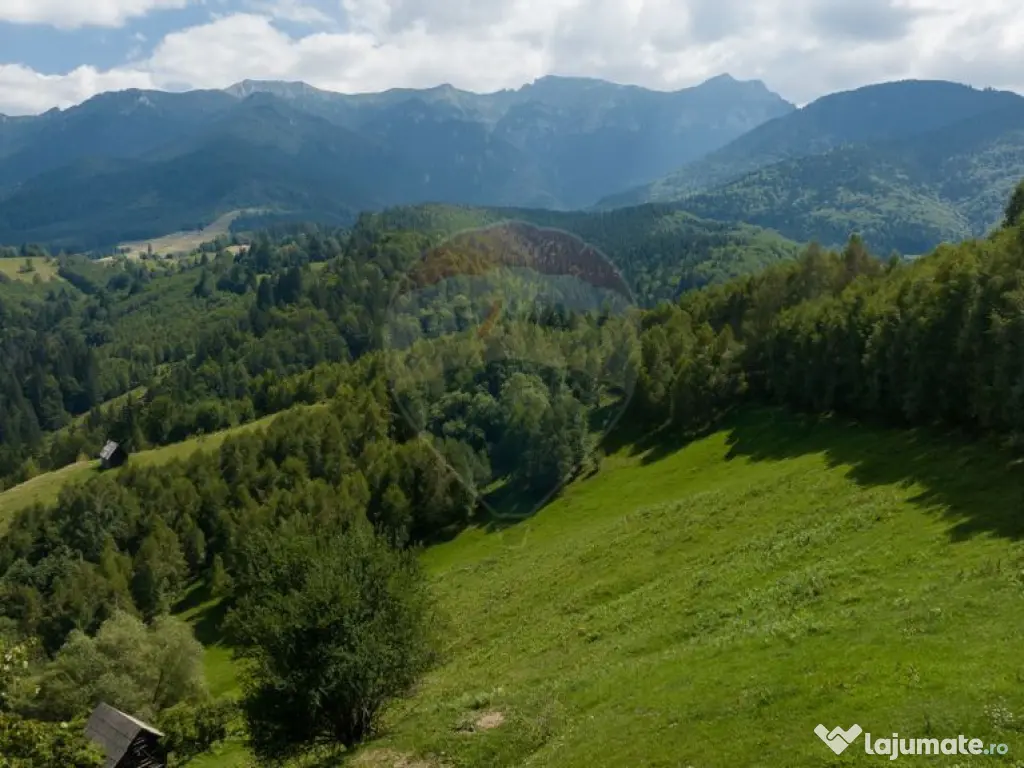 Teren Panoramic in Bran – Vedere spre Bucegi & Piatra C...