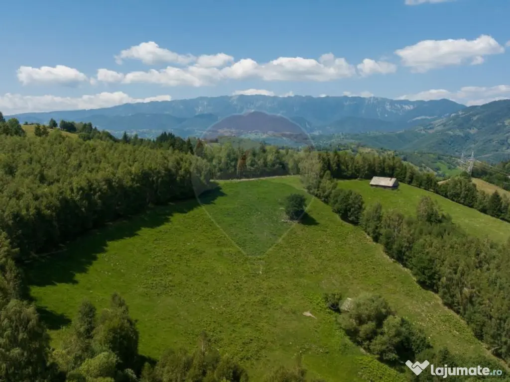 Teren Panoramic in Bran – Vedere spre Bucegi & Piatra C...