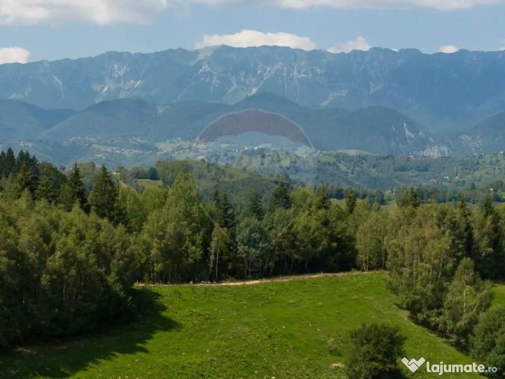 Teren Panoramic in Bran – Vedere spre Bucegi & Piatra C...