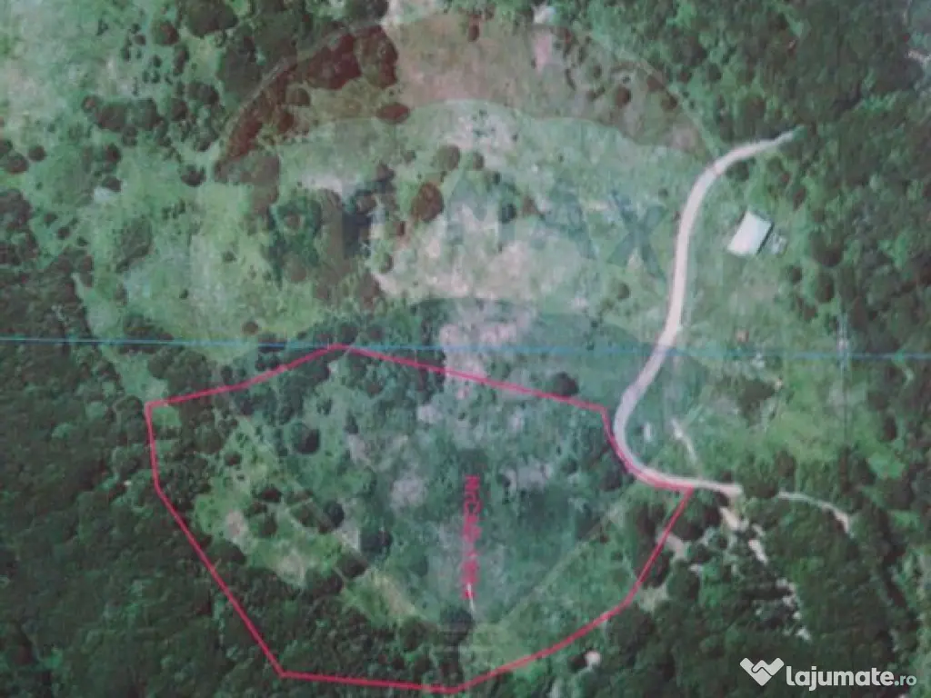 Teren Lepsa Soveja DN2 L 