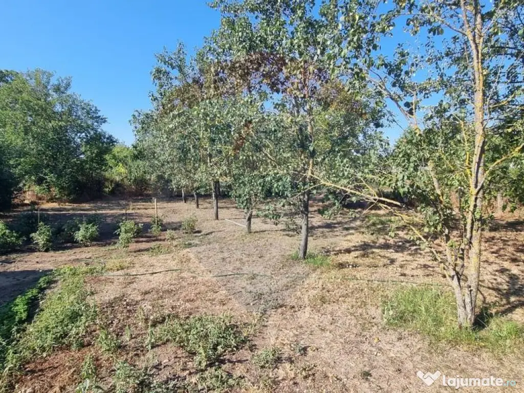 Teren intravilan de inchiriat - 3.600mp Șoseaua Unirii ?... 