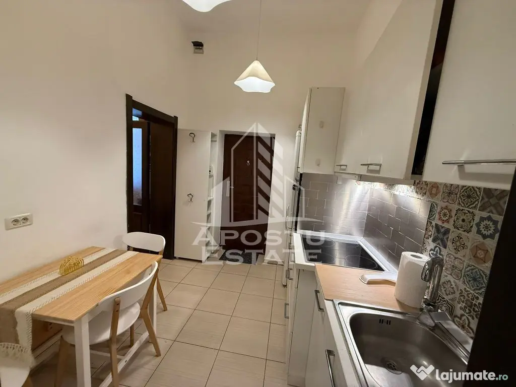 Apartament cu 2 camere ,pet friendly ( Paltim)