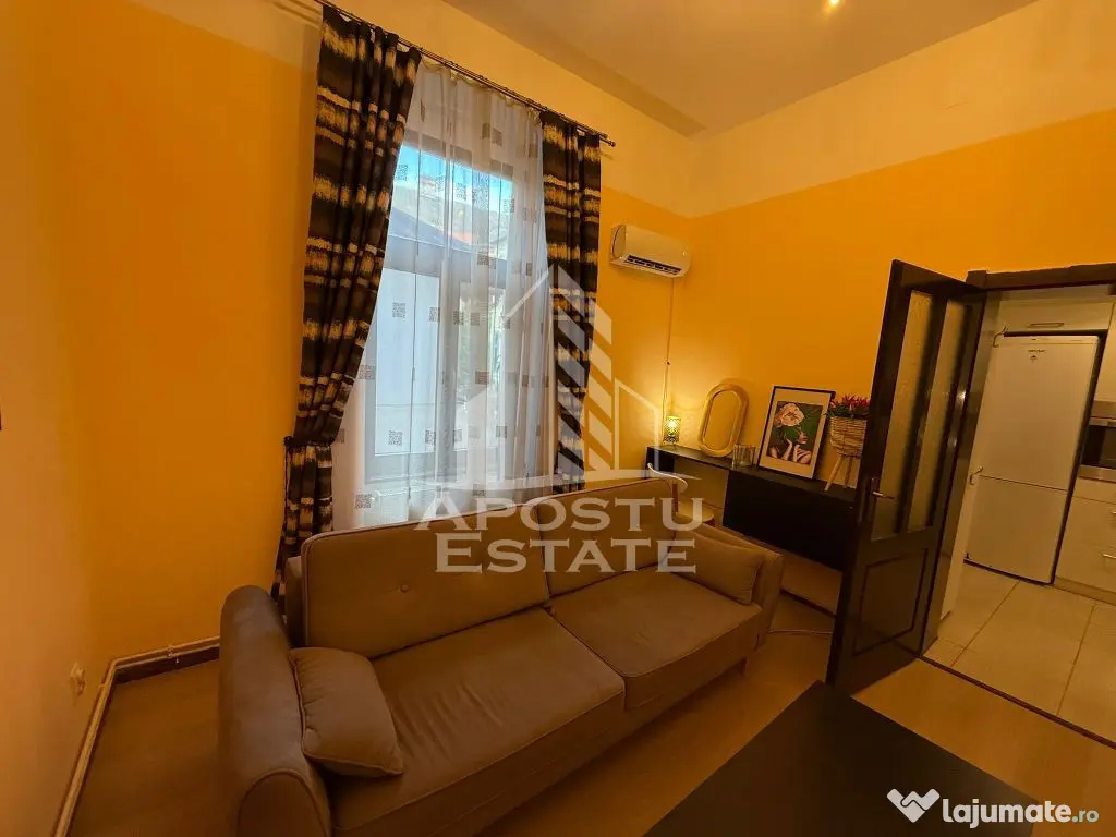 Apartament cu 2 camere ,pet friendly ( Paltim)