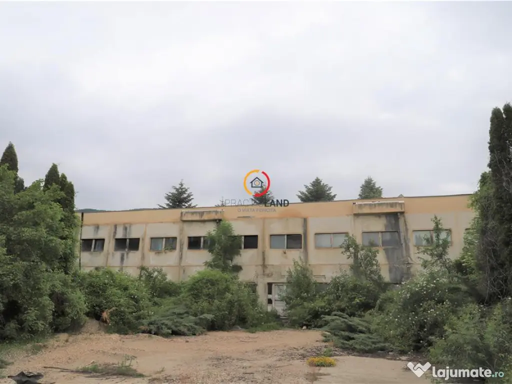 Oportunitate de investitie 