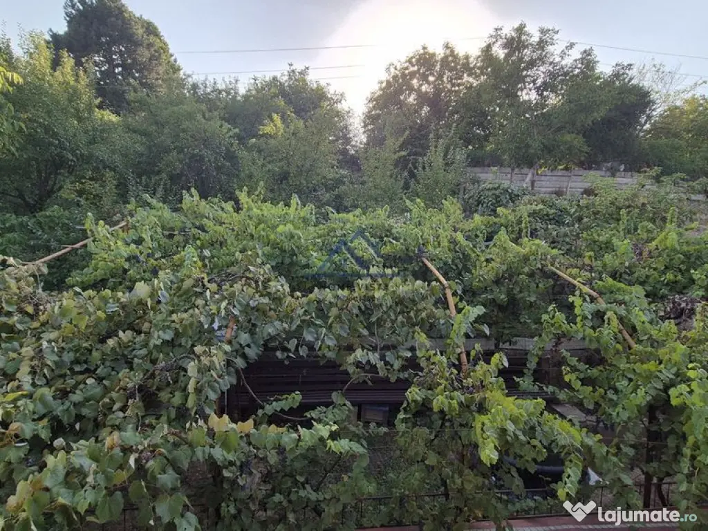 Teren + Locuinta D+P+1 