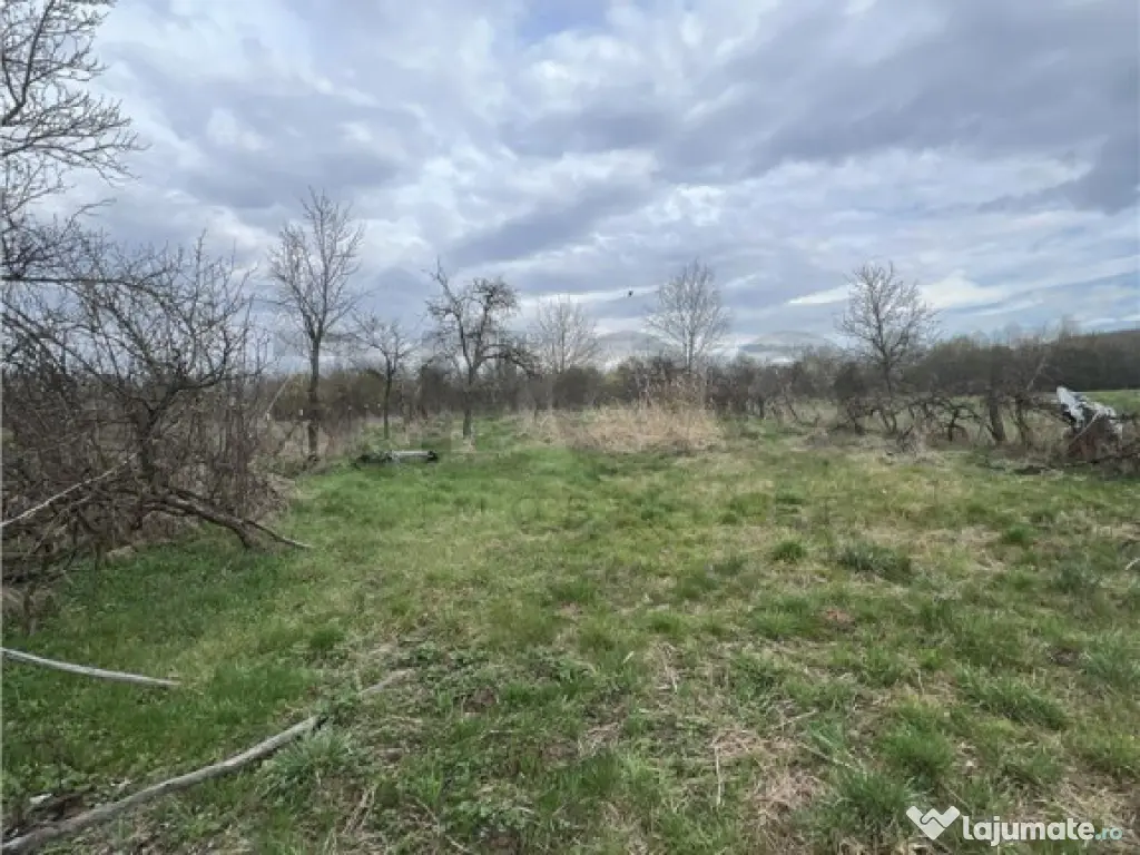 RECO, casa in Dobricionesti,Bihor 