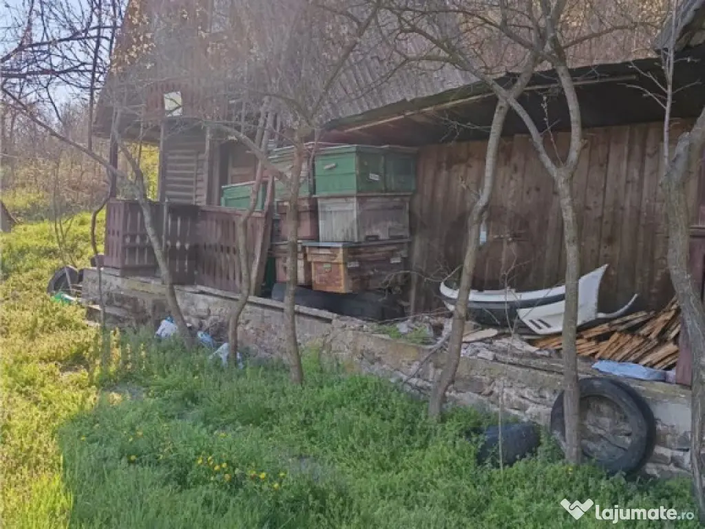 RECO TEREN GENEROS CU CABANA 