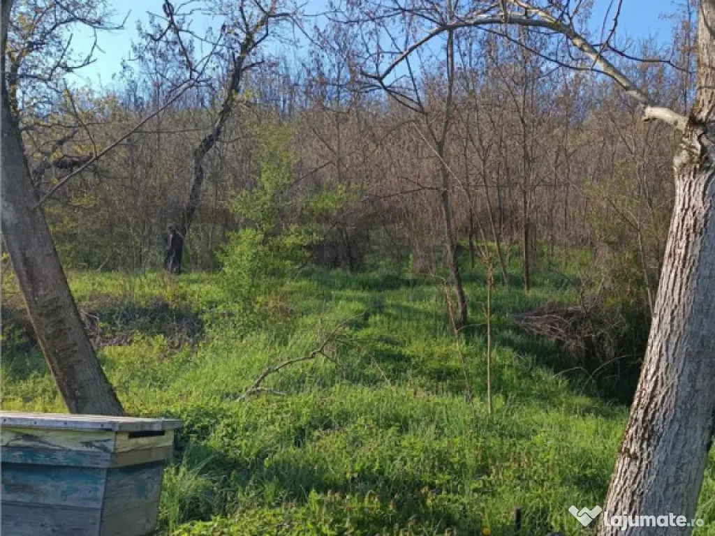 RECO TEREN GENEROS CU CABANA 