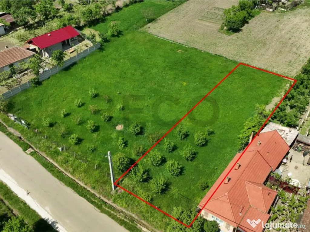 RECO . Teren intravilan in Betfia 2180mp . 