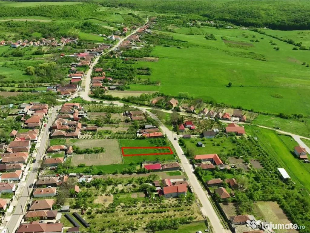 RECO . Teren intravilan in Betfia 2180mp . 