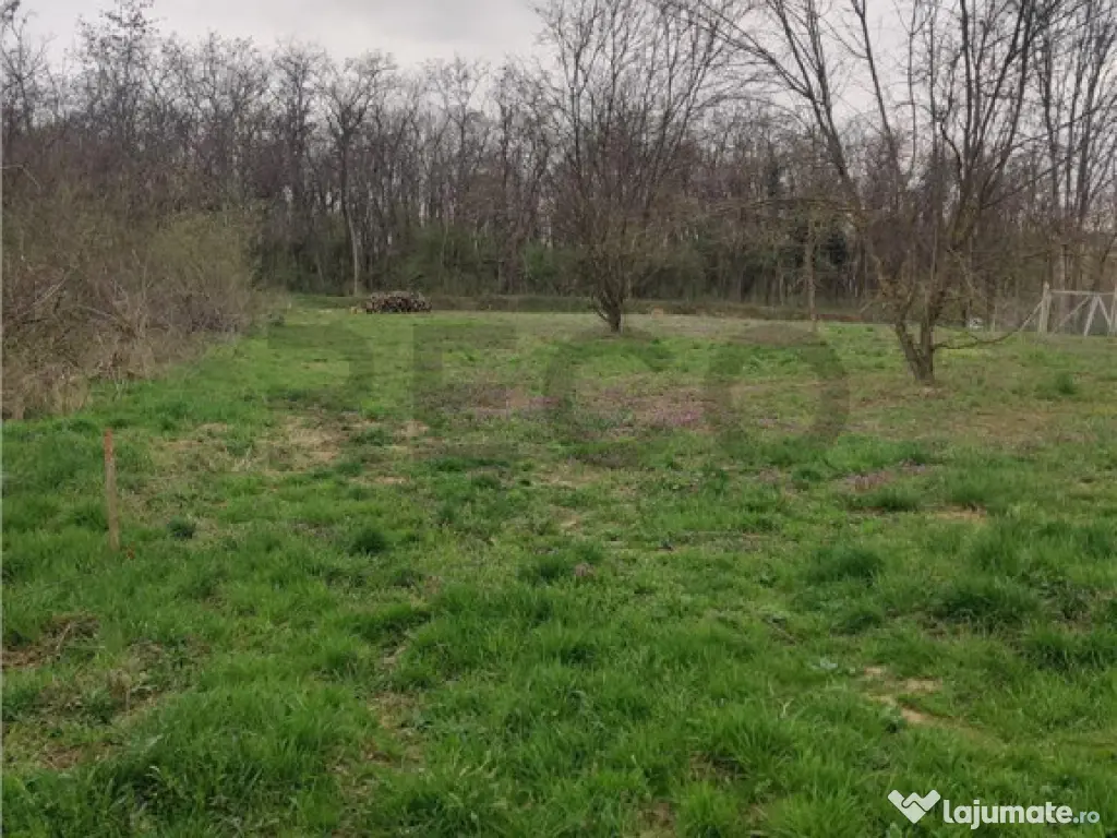 RECO . TEREN INTRAVILAN PALEU 